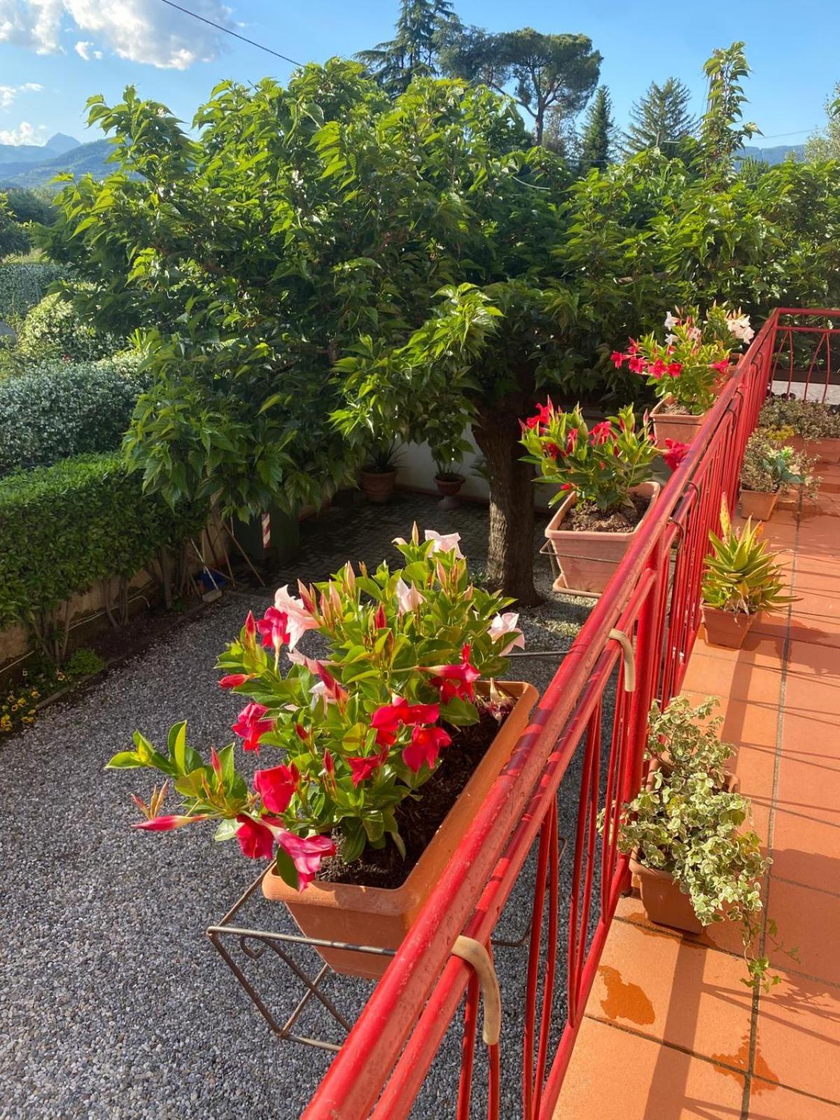 Casa Mary Villa ลุคคา ภายนอก รูปภาพ